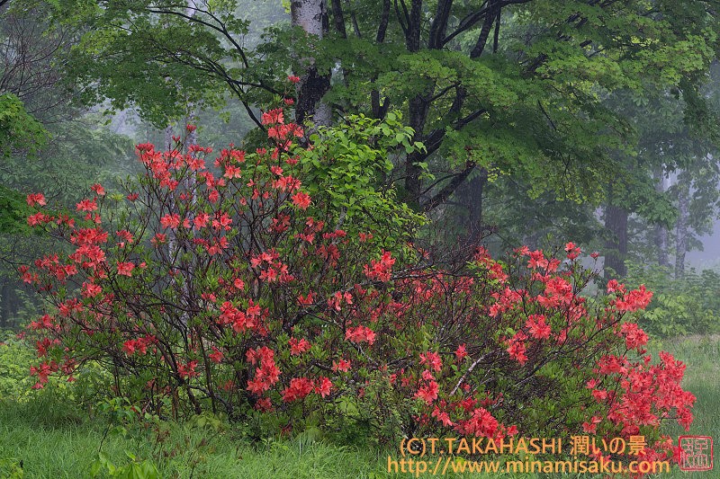 ../Images/7R250531 (79).jpg